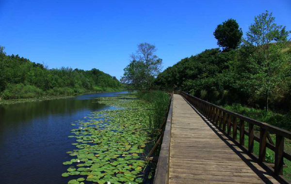 acarlar-langozu acarlar-langozu