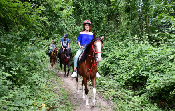 kartepe-kar kartepe-kar
